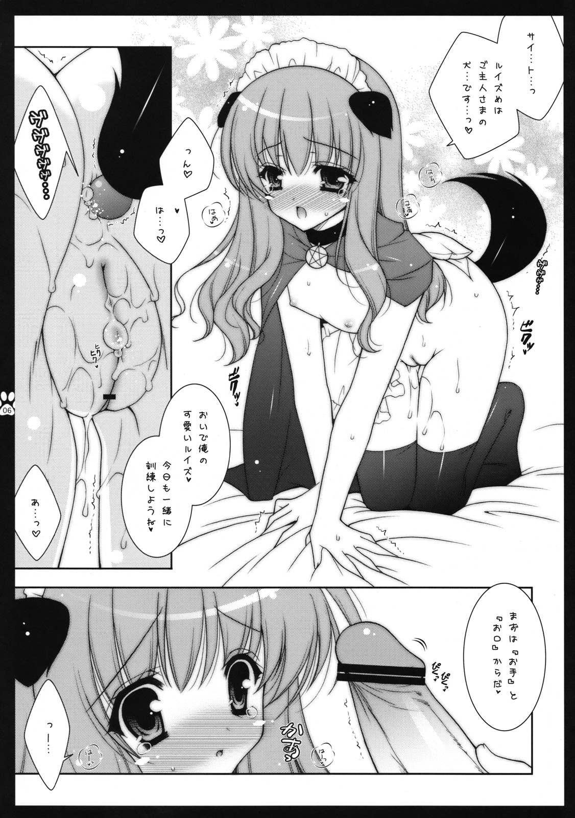 (C74) [しぐにゃん] ルイズめはご主人さまの犬です (ゼロの使い魔)