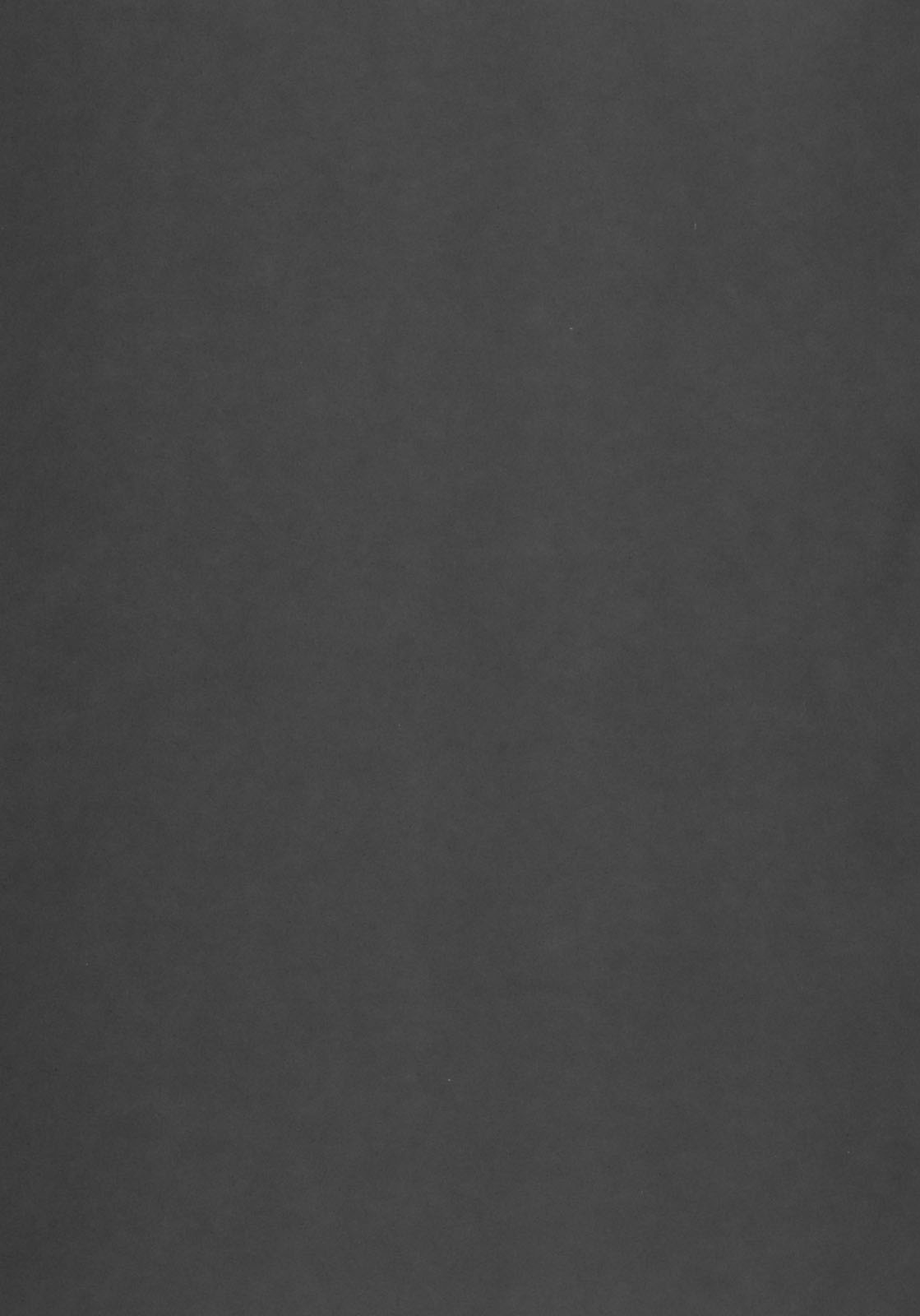 [サイクロン (冷泉、和泉)] 850 Color Classic Situation Note Extention (魔法少女リリカルなのは)