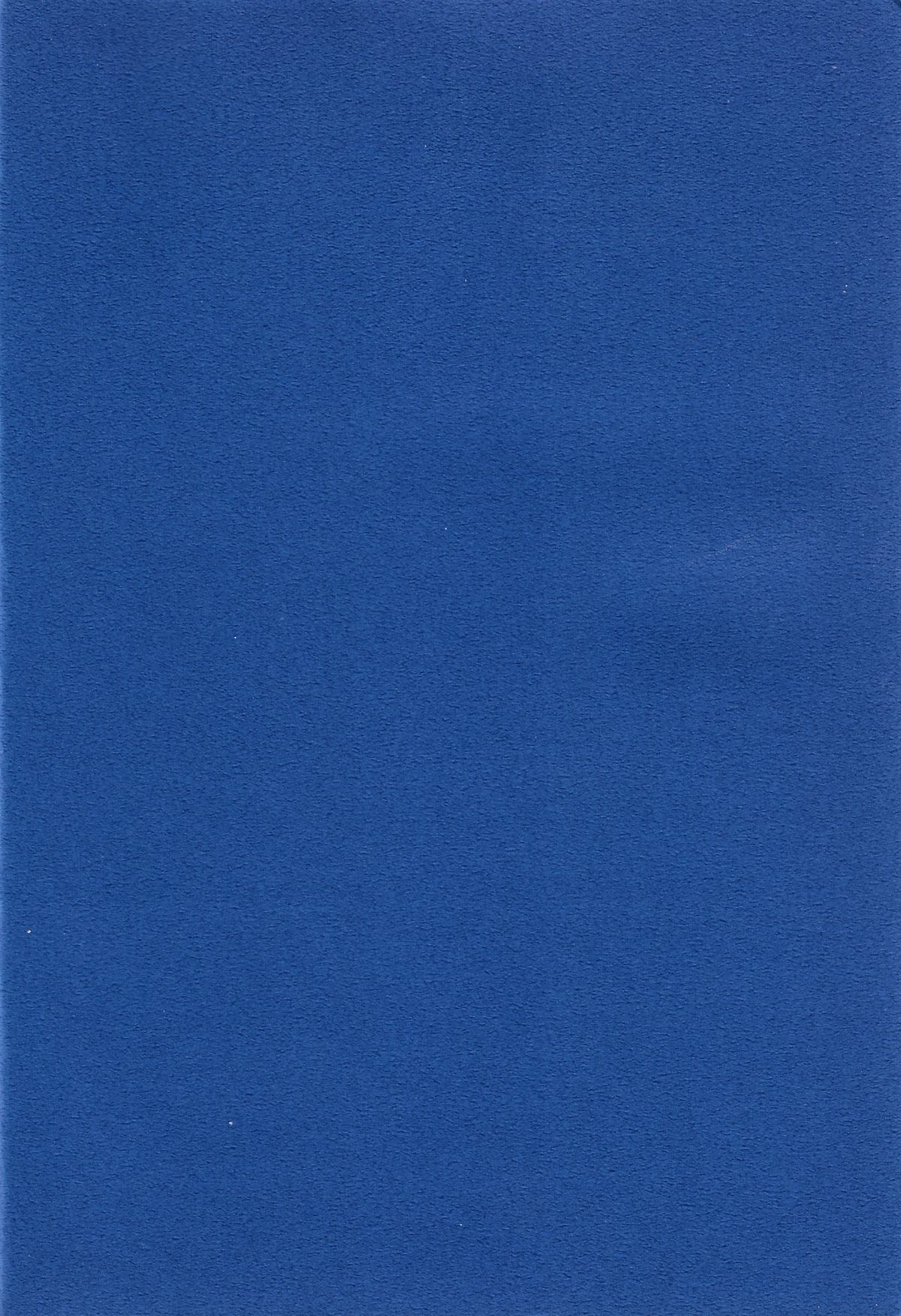 (C51) [血祭屋本舗 (よろず)] FSB (新世紀エヴァンゲリオン)