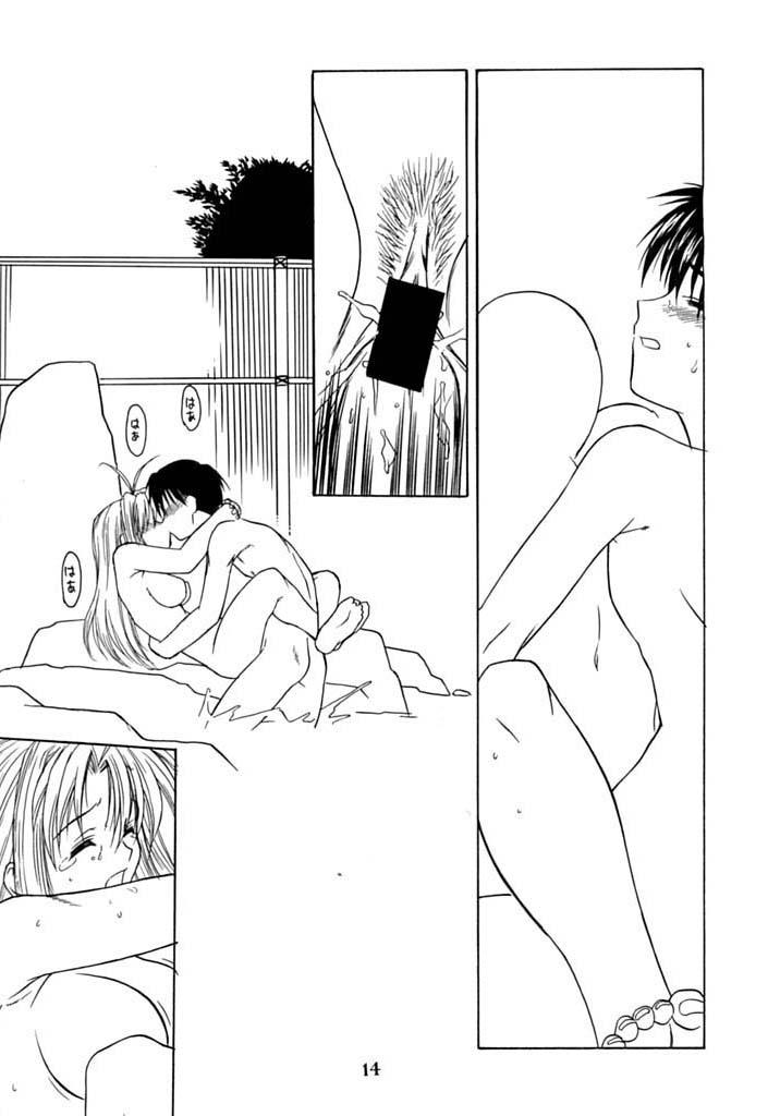 (C58) [電脳電波発令所 (春風紅茶)] 南国酒家 (ラブひな)