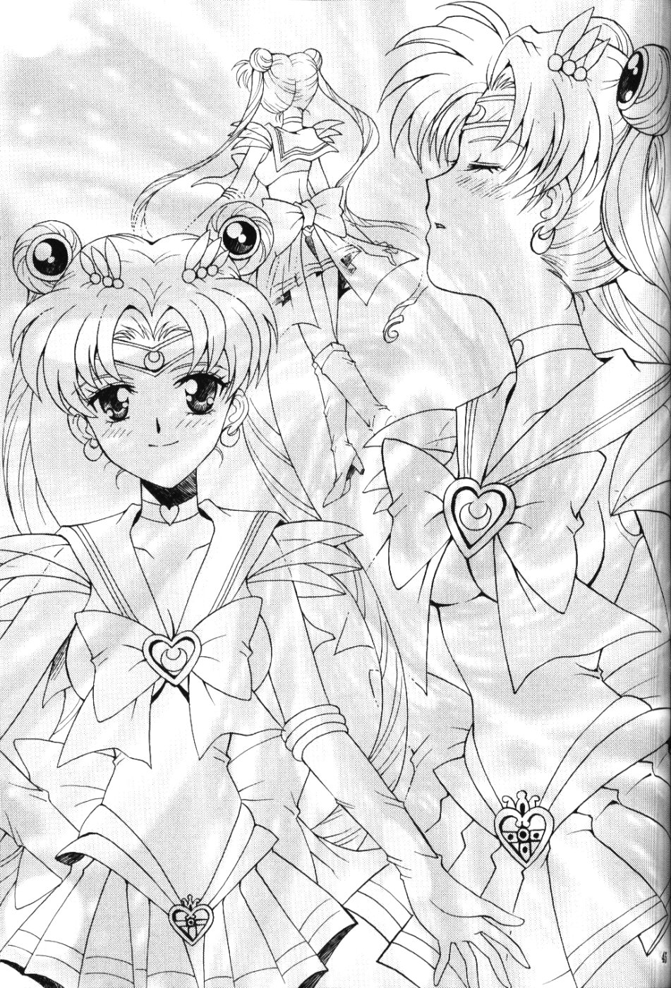 (C67) [小鳥事務所 (桜文鳥)] chanson de I'adieu (セーラームーン)
