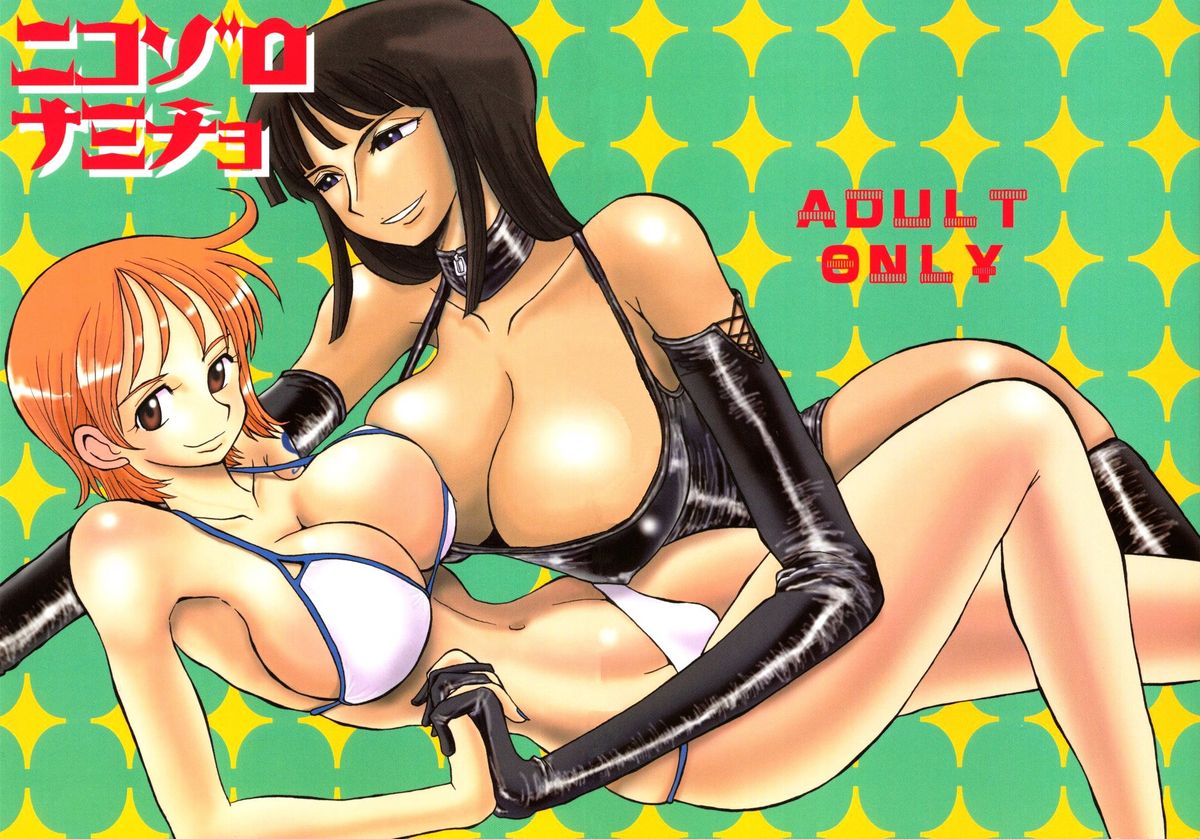 (C65) [ちゃちゃちゃぶらざーず (よこやまちちゃ	)] ニコゾロナミチョ (ワンピース)