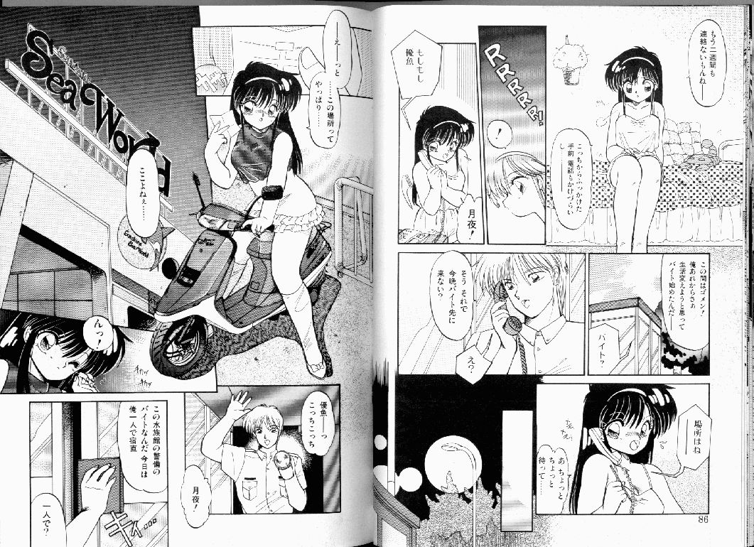 [蘭宮涼] Misty Twilight