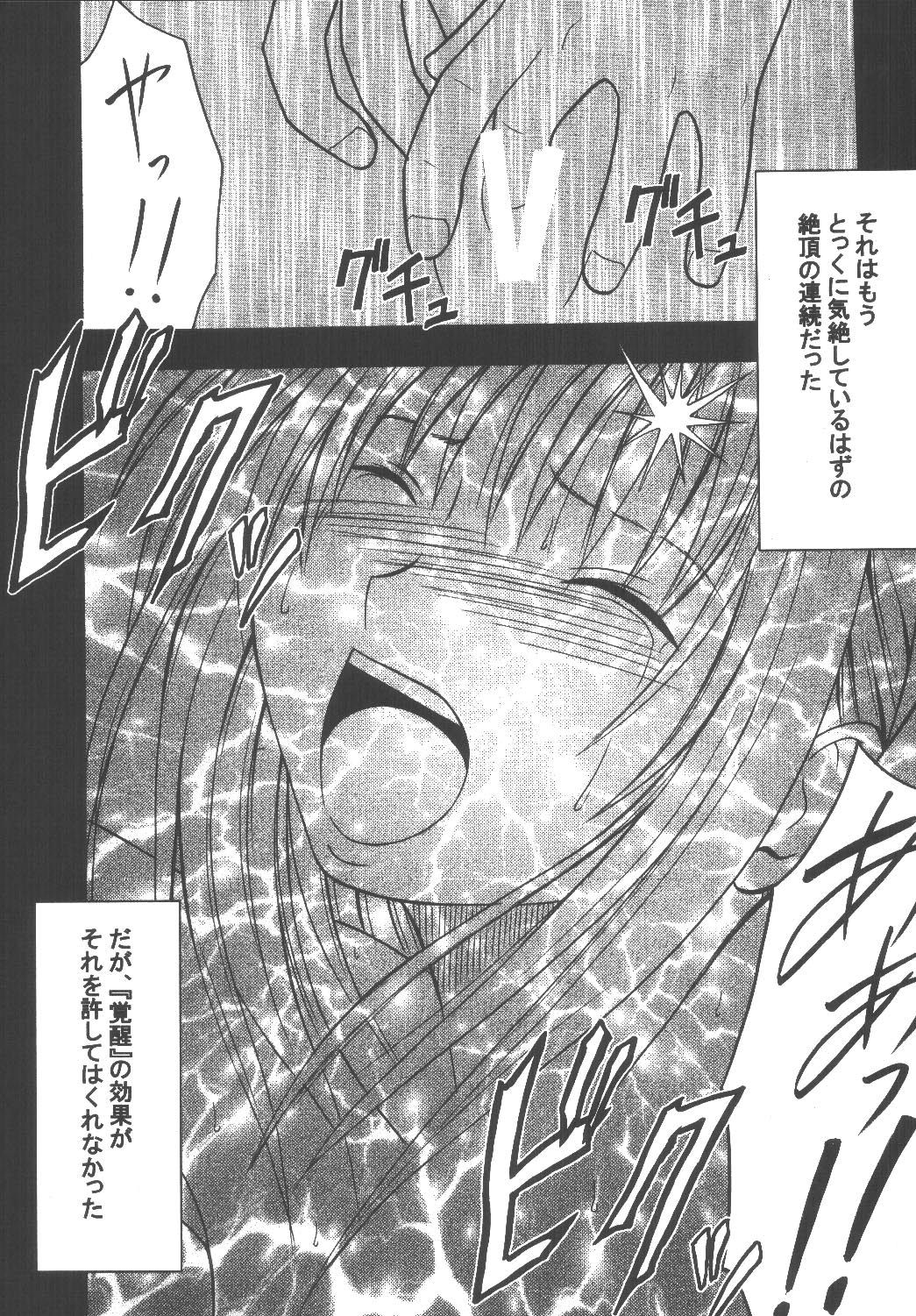 [クリムゾン (カーマイン)] 教育総集編 (ブラックキャット)