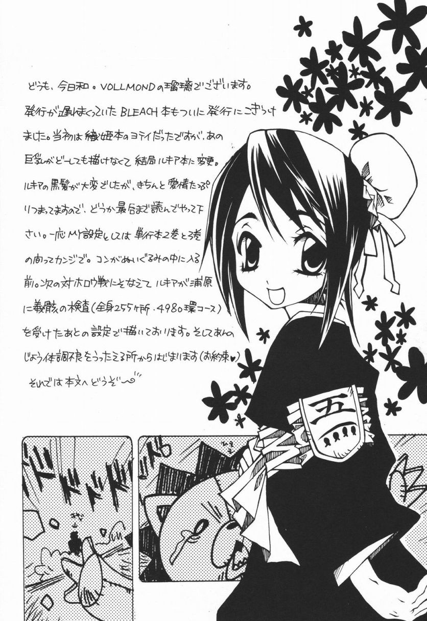 (C68) [VOLLMOND (瑠璃)] COOL BEAUTY,SO HOT (ブリーチ)