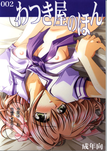 (C62) [わつき屋 (わつき彩雲)] わつき屋のほん 002 (君が望む永遠)