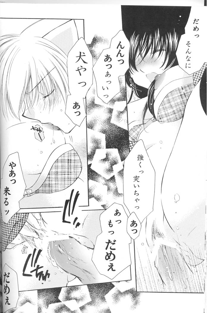 (C67) [桜館 (芹桜さくら)] Lovers (犬夜叉)