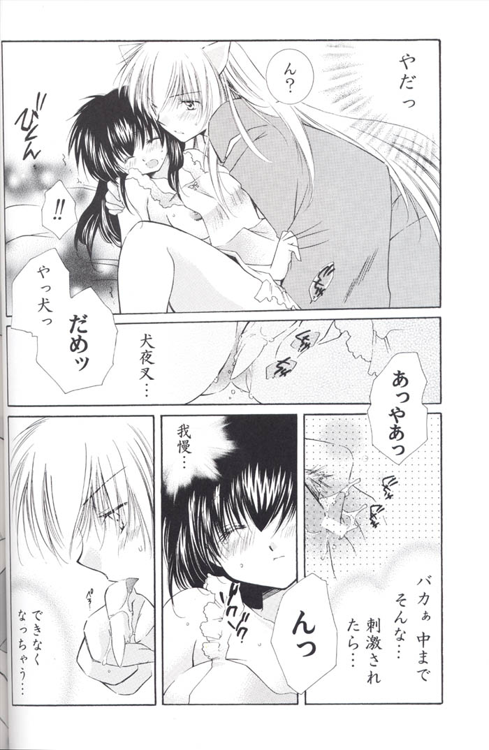 (C67) [桜館 (芹桜さくら)] Lovers (犬夜叉)