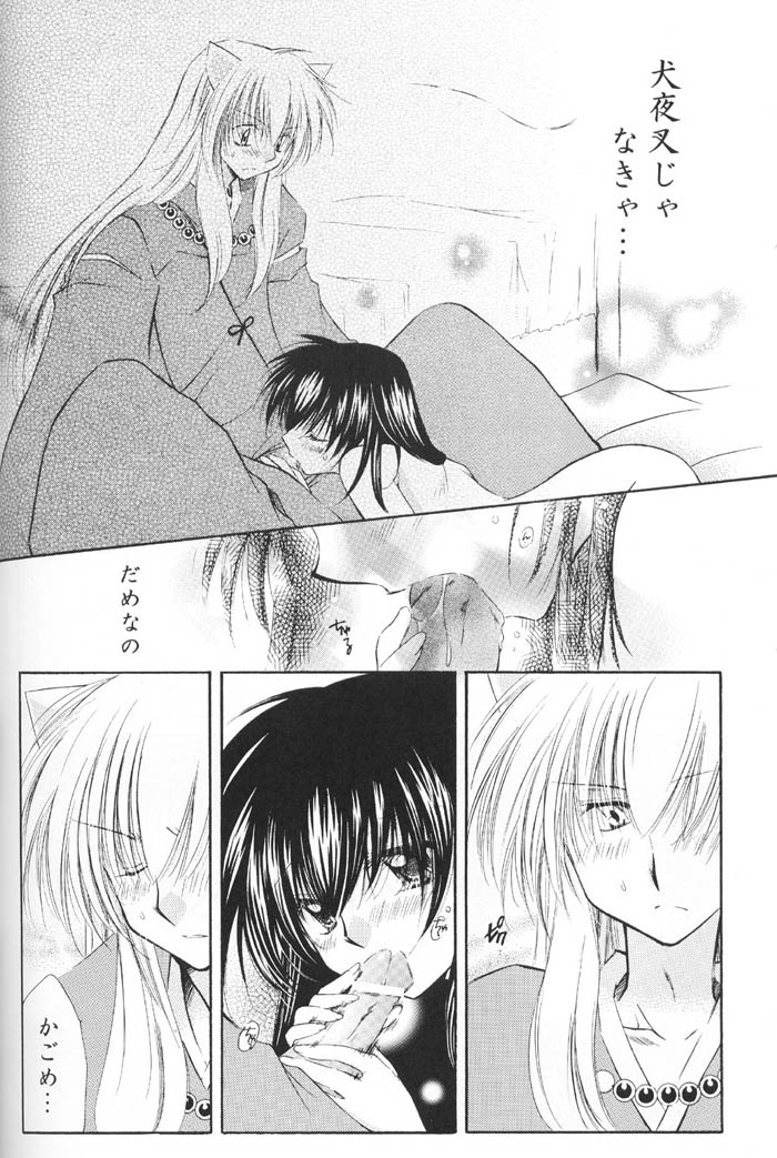 (C67) [桜館 (芹桜さくら)] Lovers (犬夜叉)