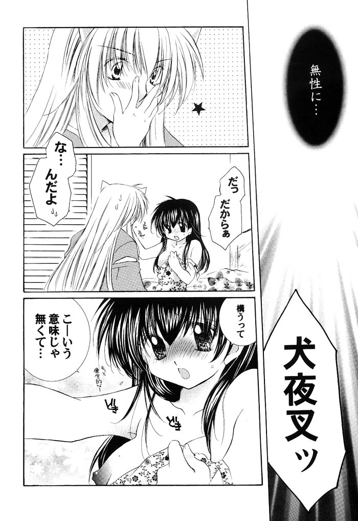 (C66) [桜館 (芹桜さくら)] 純愛ロマネスク (犬夜叉)