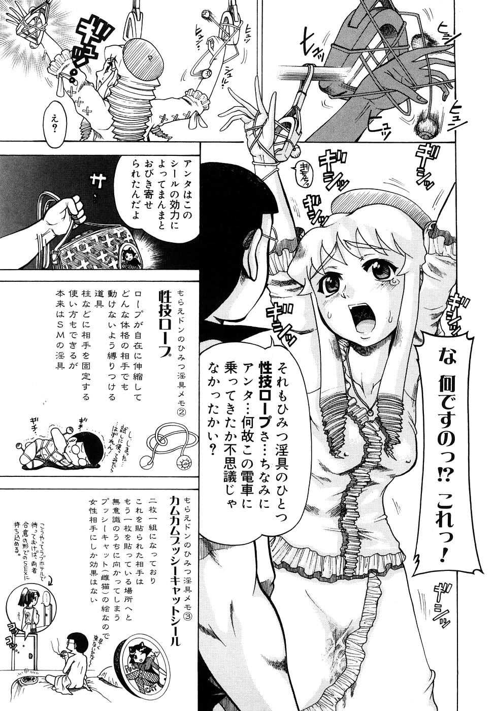 [あわじひめじ] 精性魔装オルガーナ