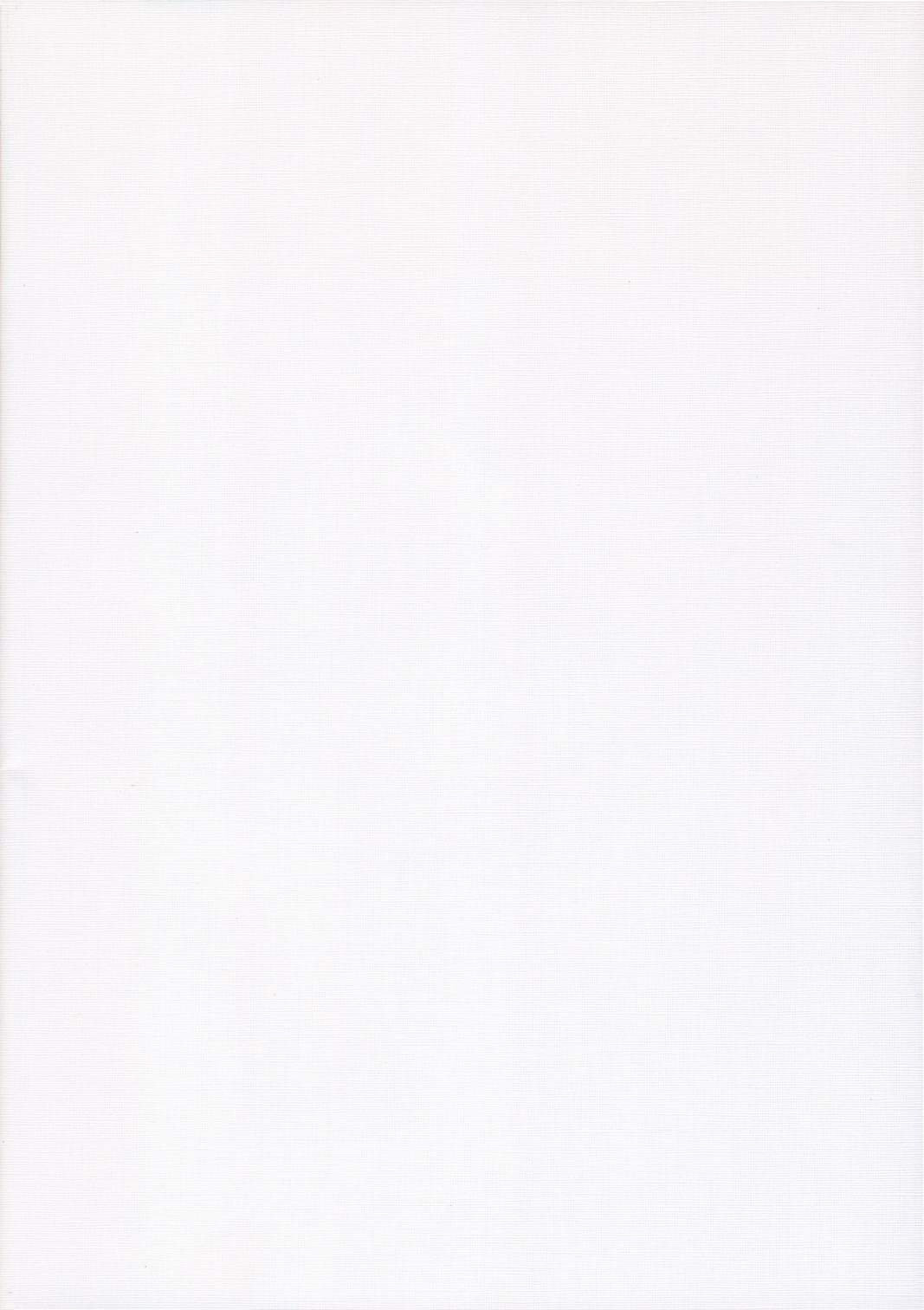 [ハウス オブ KARSEA] １／３(絶対可憐チルドレン)