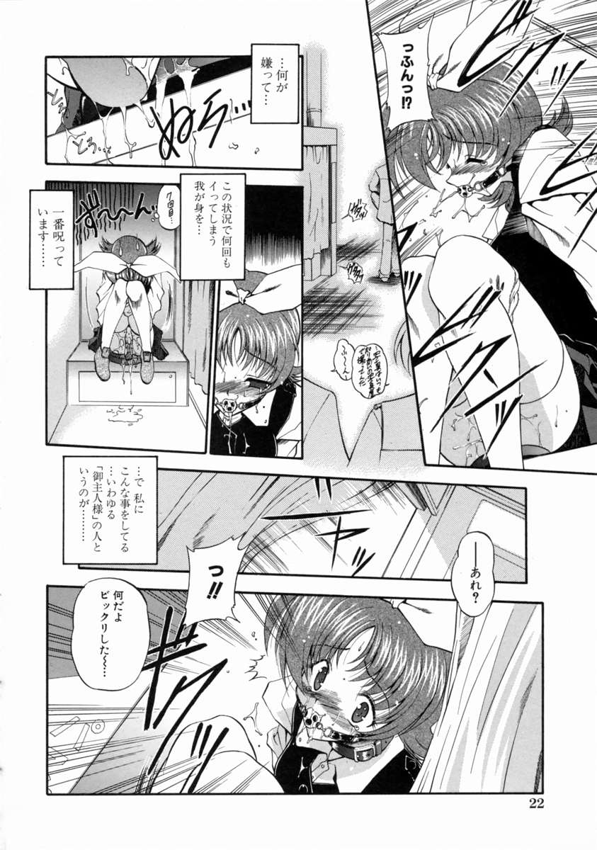 [のら猫長屋] 隷嬢週間