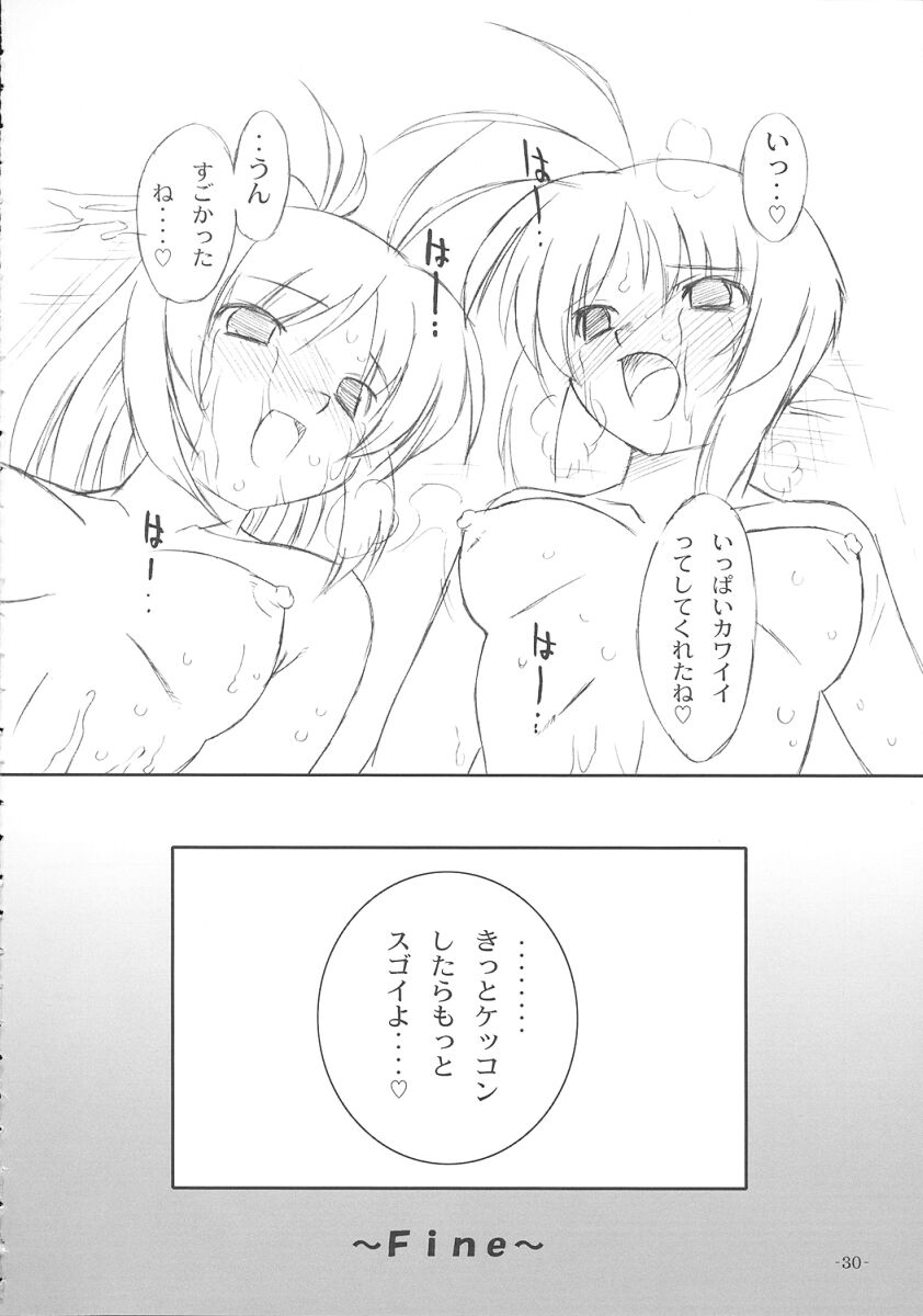 (C67) [おおた堂 (おおたたけし)] 双変2～ふたりともヘンになっちゃう！～ (双恋)