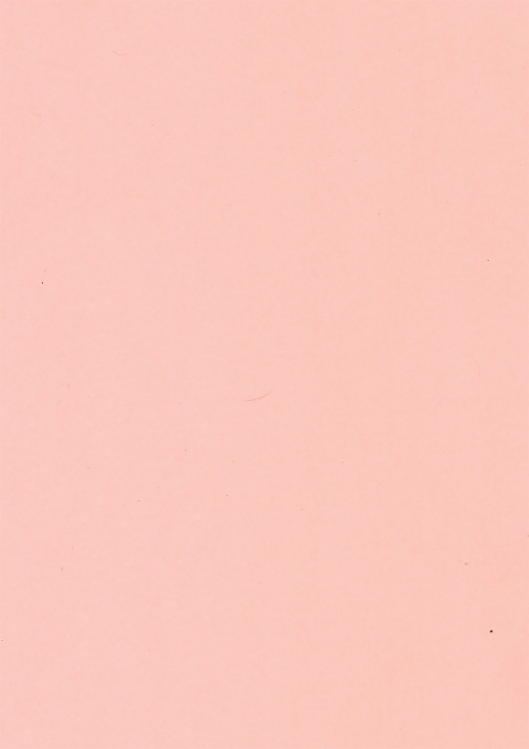 【フルメタルマッドネス】Tama-C（ToHeart2）