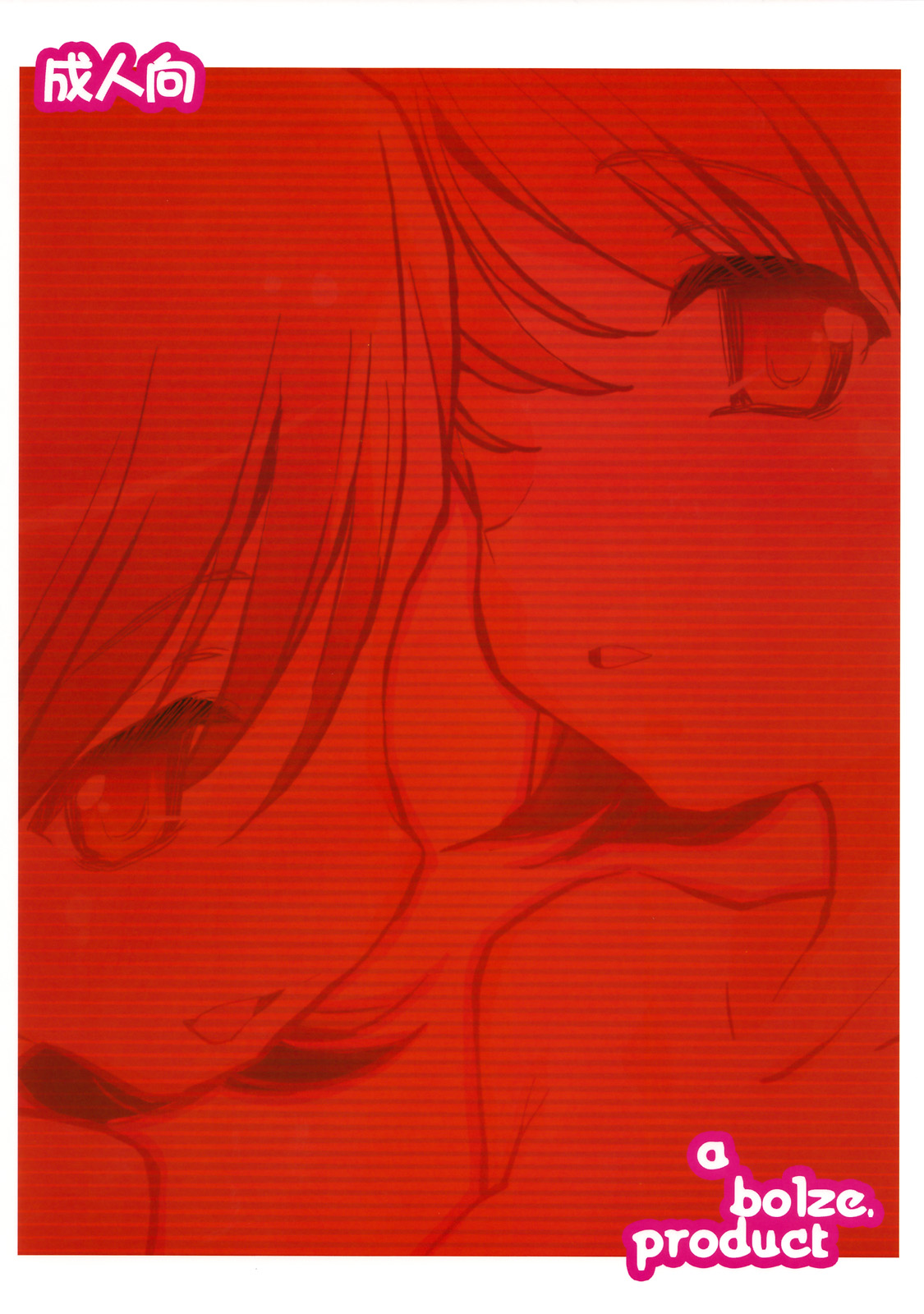 [bolze. (rit.)] flip, flop & fly (アイドルマスター) [2008年3月28日]