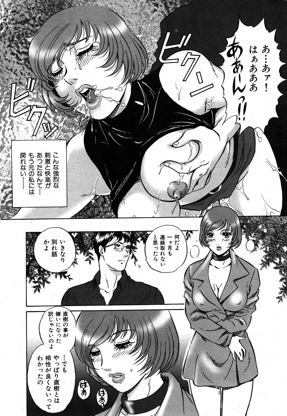 COMIC 失楽天 2007年11月号