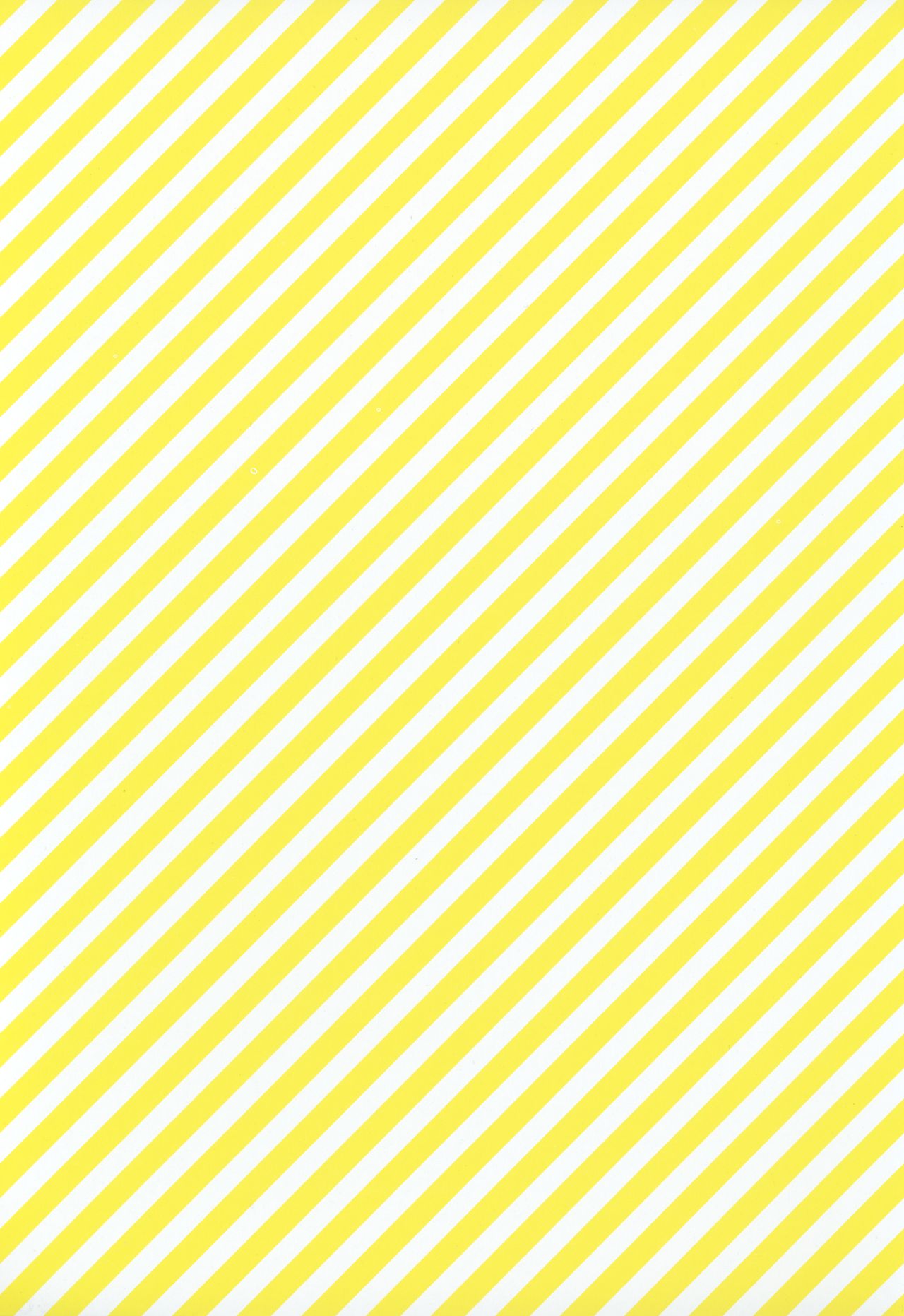 (C75) [Sadistic Mary (服部ミツカ)] FLASH BACK 20081230 (ブリーチ)