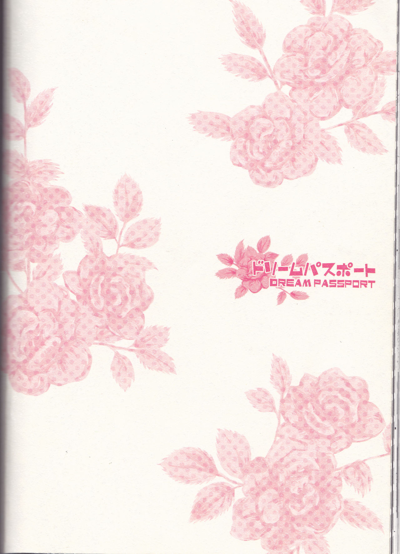 (C75) [PIERRE (瓦落多装置)] ドリームパスポート (NARUTO -ナルト-)