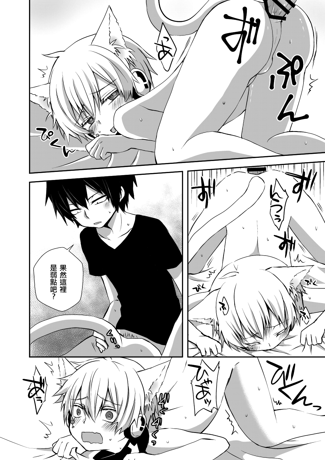 [しおやき (あゆ)] ねこコノハのじじょう (カゲロウプロジェクト) [中国翻訳] [DL版]