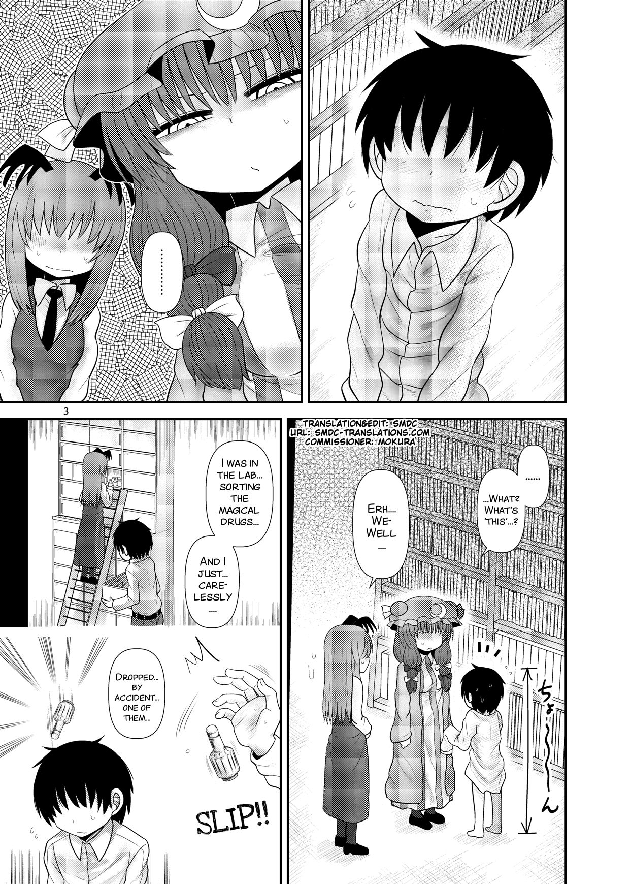 [川豚毒 (加藤フグオ)] するだけ拾肆。 (東方Project) [英訳] [DL版]