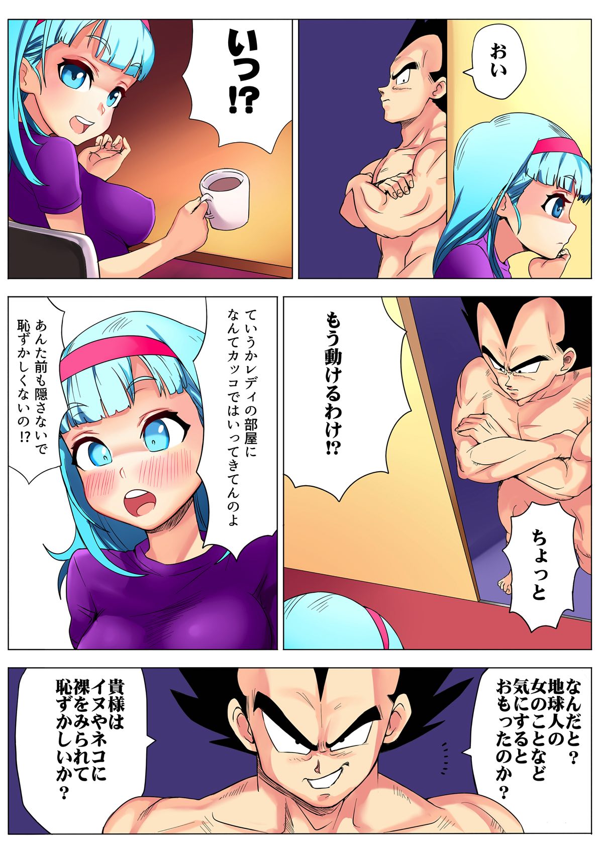 [ぷらんぷまん] ブルマが寂しそうなベジータをみてついなんとなくな本 (ドラゴンボールZ)