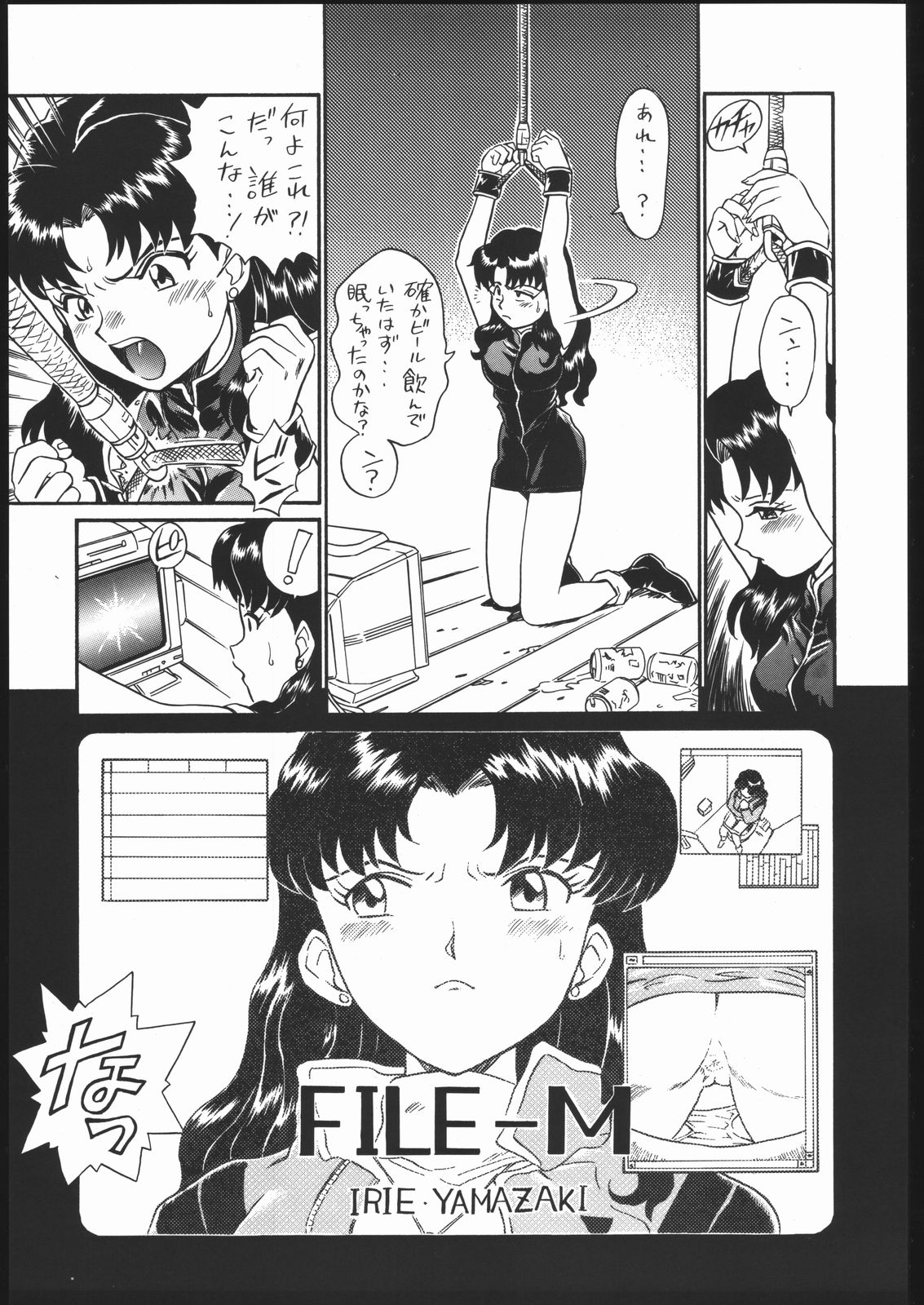 (C54) [RAT TAIL (IRIE YAMAZAKI)] IRIE FILE GREEN (新世紀エヴァンゲリオン, 赤ずきんチャチャ)