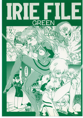 (C54) [RAT TAIL (IRIE YAMAZAKI)] IRIE FILE GREEN (新世紀エヴァンゲリオン, 赤ずきんチャチャ)