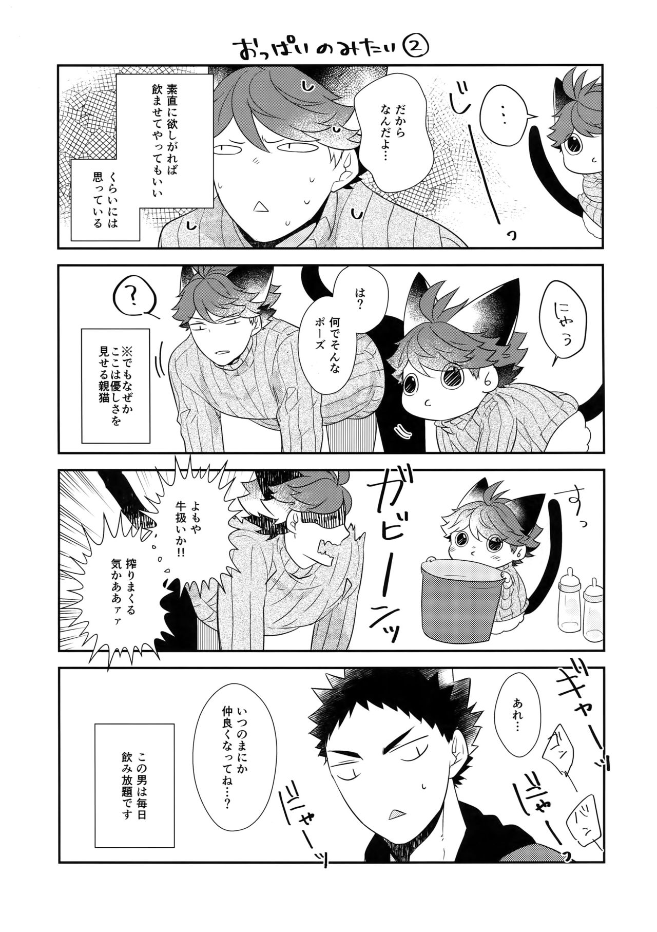 (RTS!!13) [ロトチカ (神使月)] 岩ちゃんのネコになりたい6 (ハイキュー!!)