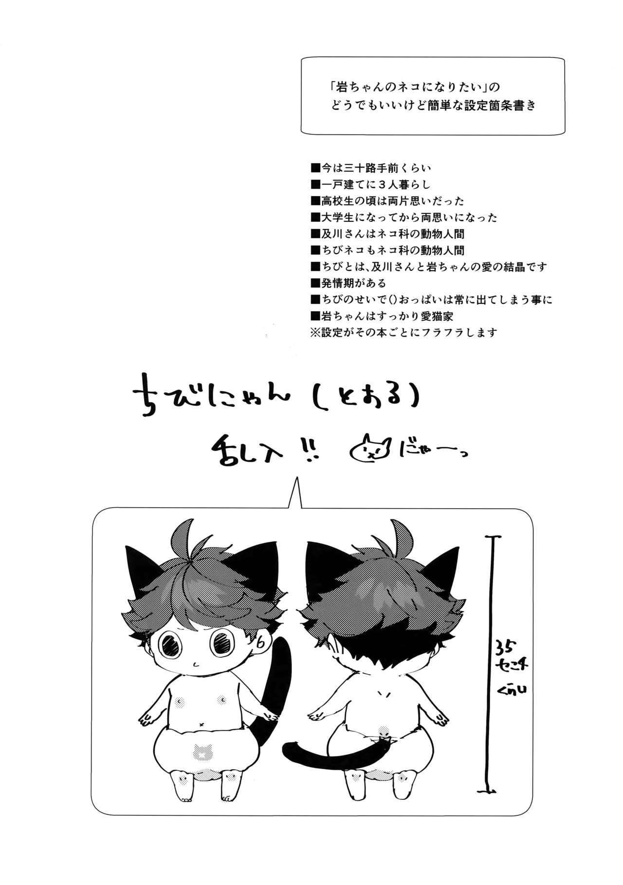 (RTS!!13) [ロトチカ (神使月)] 岩ちゃんのネコになりたい6 (ハイキュー!!)
