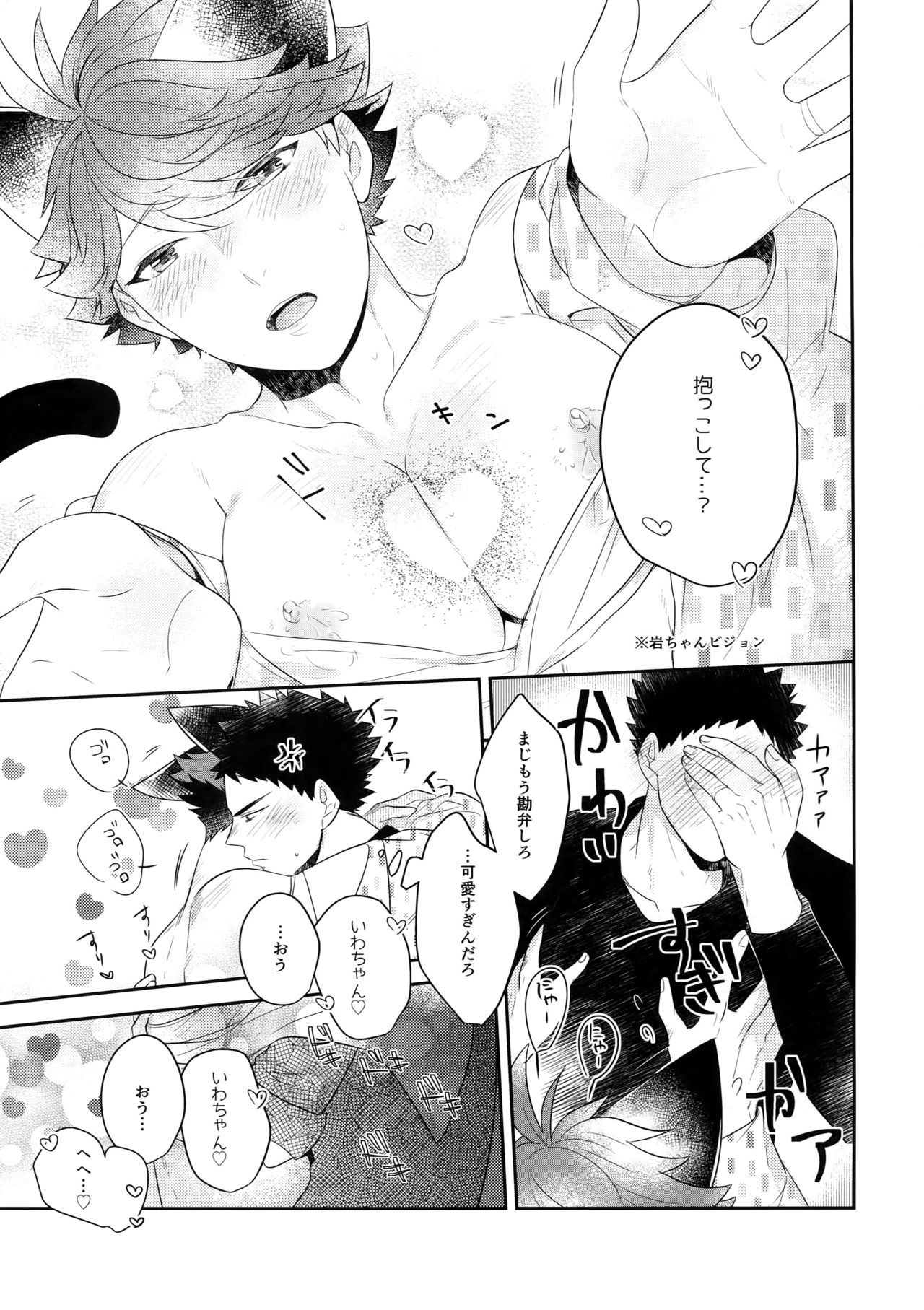 (RTS!!13) [ロトチカ (神使月)] 岩ちゃんのネコになりたい6 (ハイキュー!!)