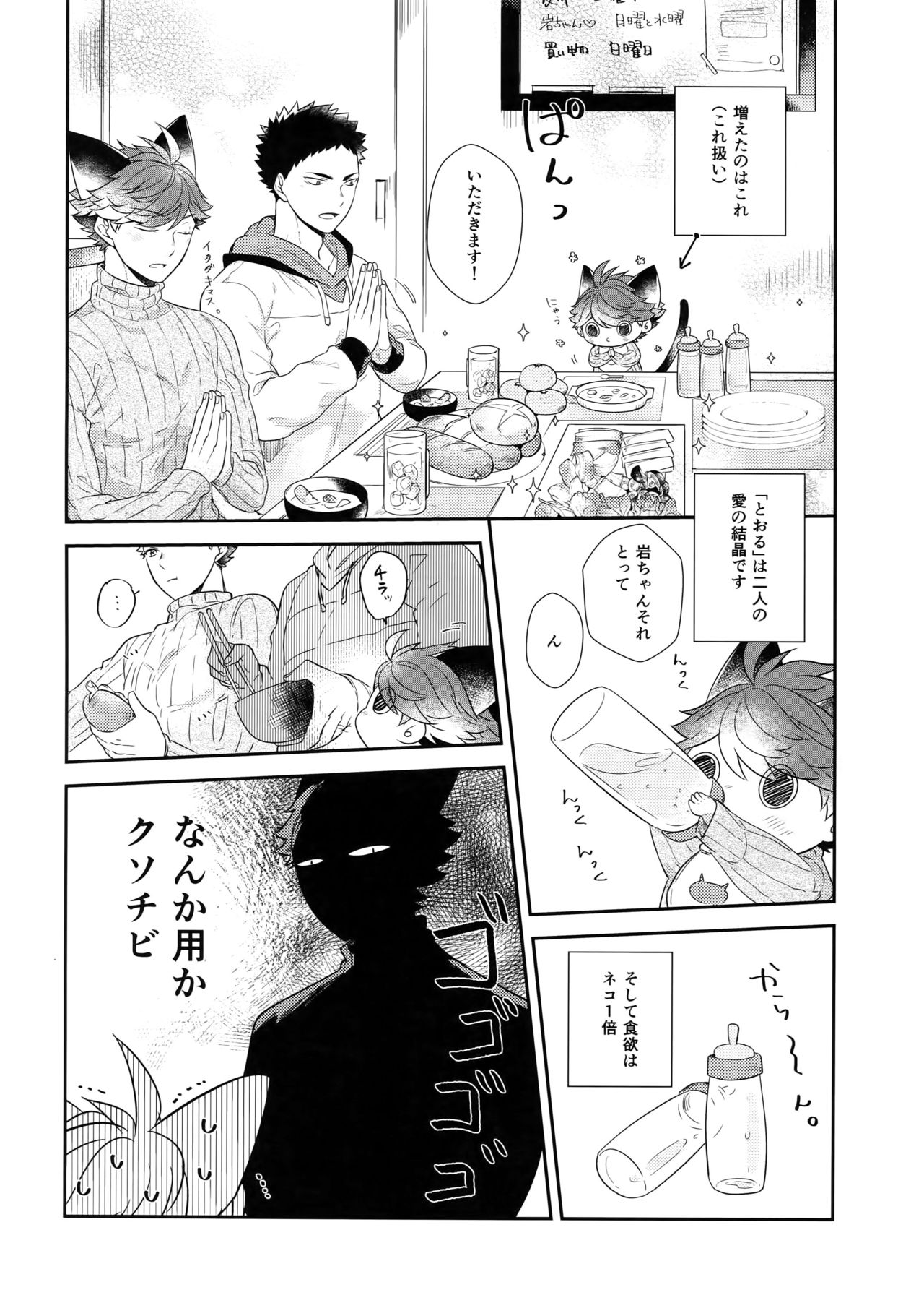 (RTS!!13) [ロトチカ (神使月)] 岩ちゃんのネコになりたい6 (ハイキュー!!)