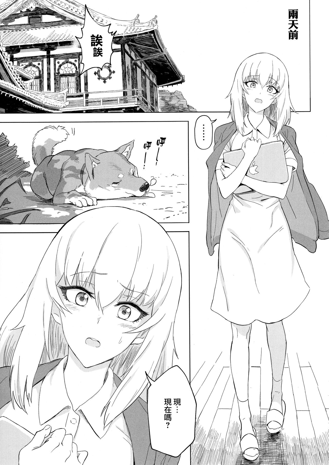 (C94) [SHIOHAMA (反骨max)] ERIKA vol.3 (ガールズ&パンツァー) [中国翻訳]