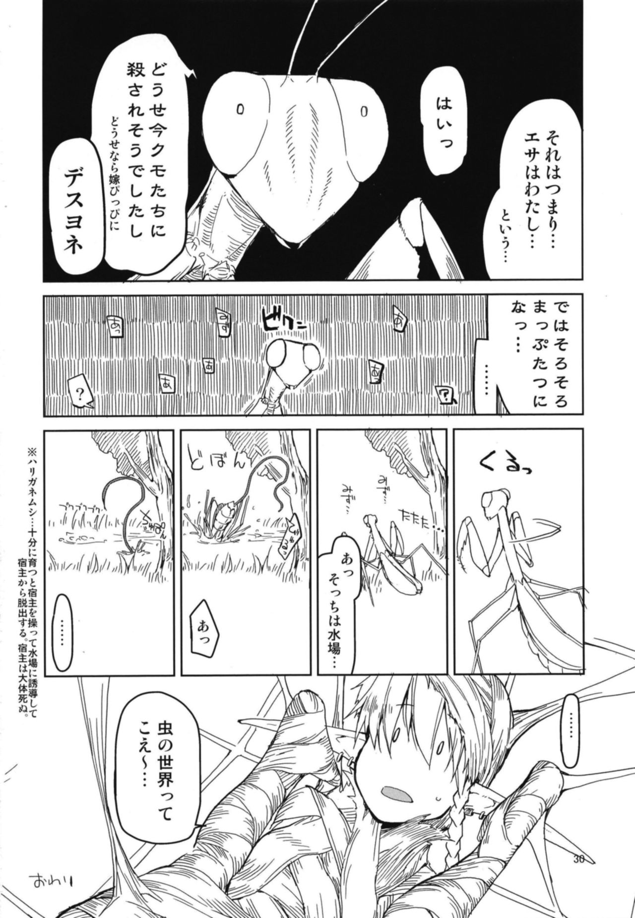 (C94) [めたもる (りょう)] ドスケベエルフの異種姦日記 5
