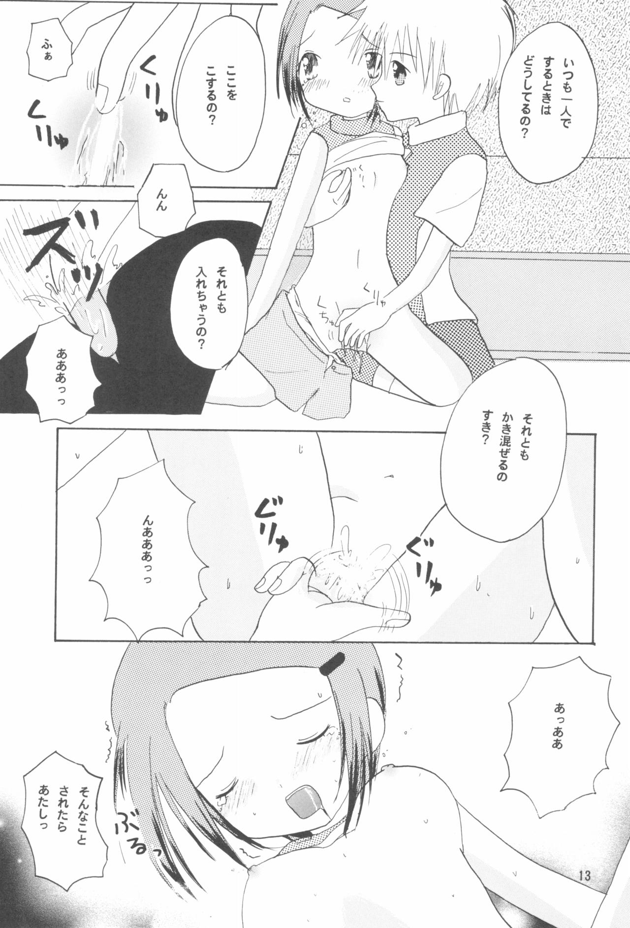 (C59) [ちーず入りかまぼこ堂 (まこきゅーぶ)] ヒカリマニア (デジモンアドベンチャー02)