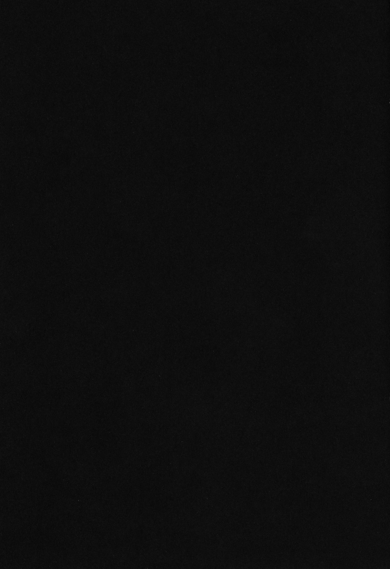 (C76) [Air-bird (南雲くー)] HAZARD:D (BLACK LAGOON, ヨルムンガンド)