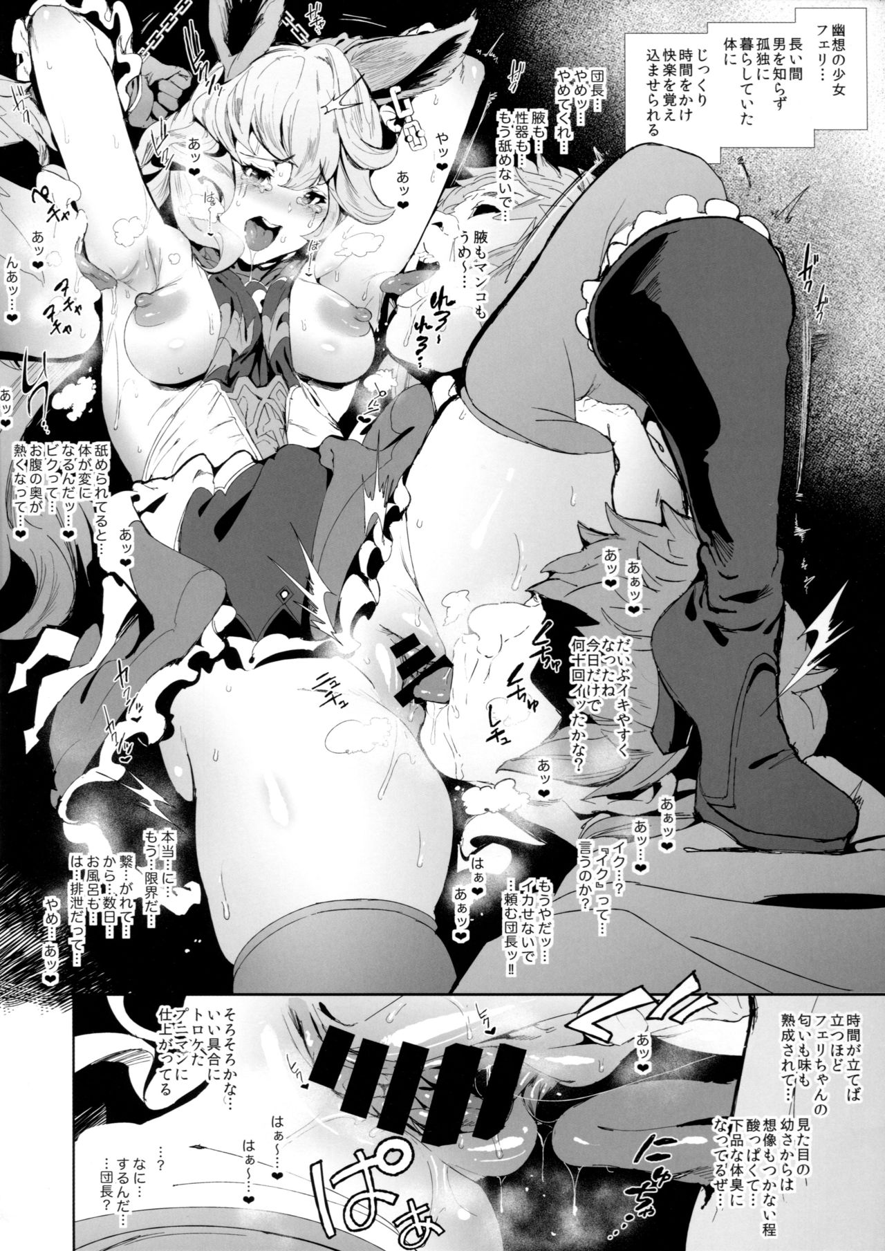 (C91) [viento campanilla (すずはねすず)] 雌エルーン討滅戦(仮) フェリ&コルワ (グランブルーファンタジー)