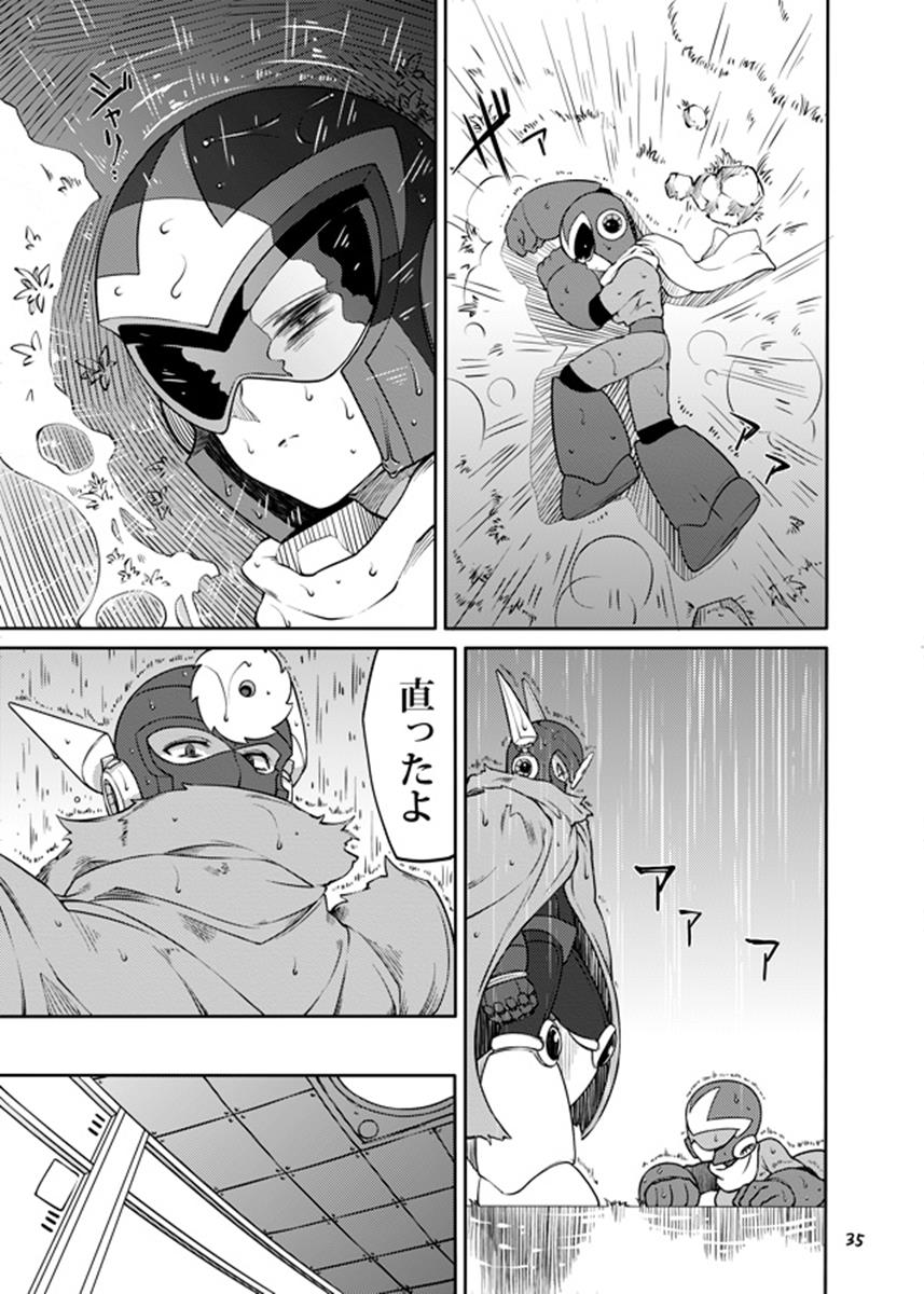 [RETRO RED (ザキコ)] 動機不純 + 臍帯 (ロックマン) [DL版]