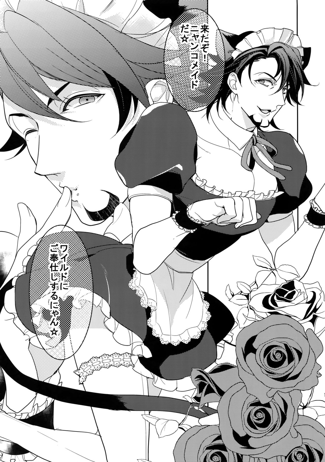 (SPARK9) [ボロZS (百壱ネム)] BOROZS兎虎再録2 (TIGER & BUNNY)