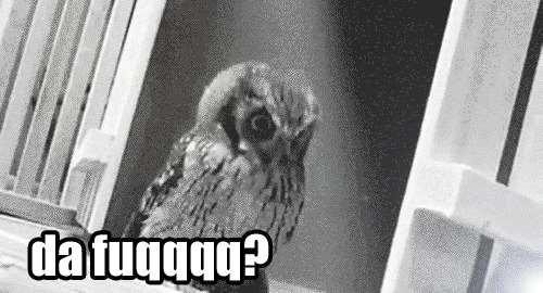 [シイナ] ノラネコ少女との暮らしかた 第4-15話 [中国翻訳] [DL版]