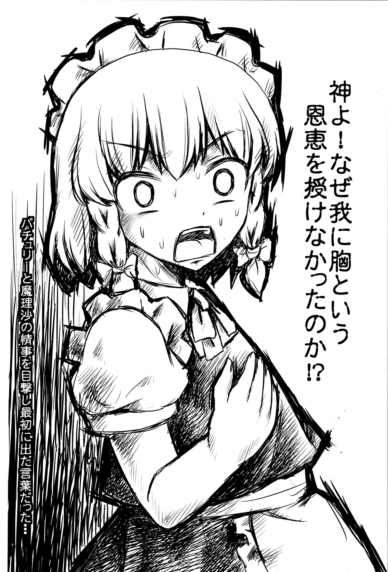 (C88) [魔導資料室 (嵐-D-悪鬼羅、emina)] Black or Purple (東方Project)