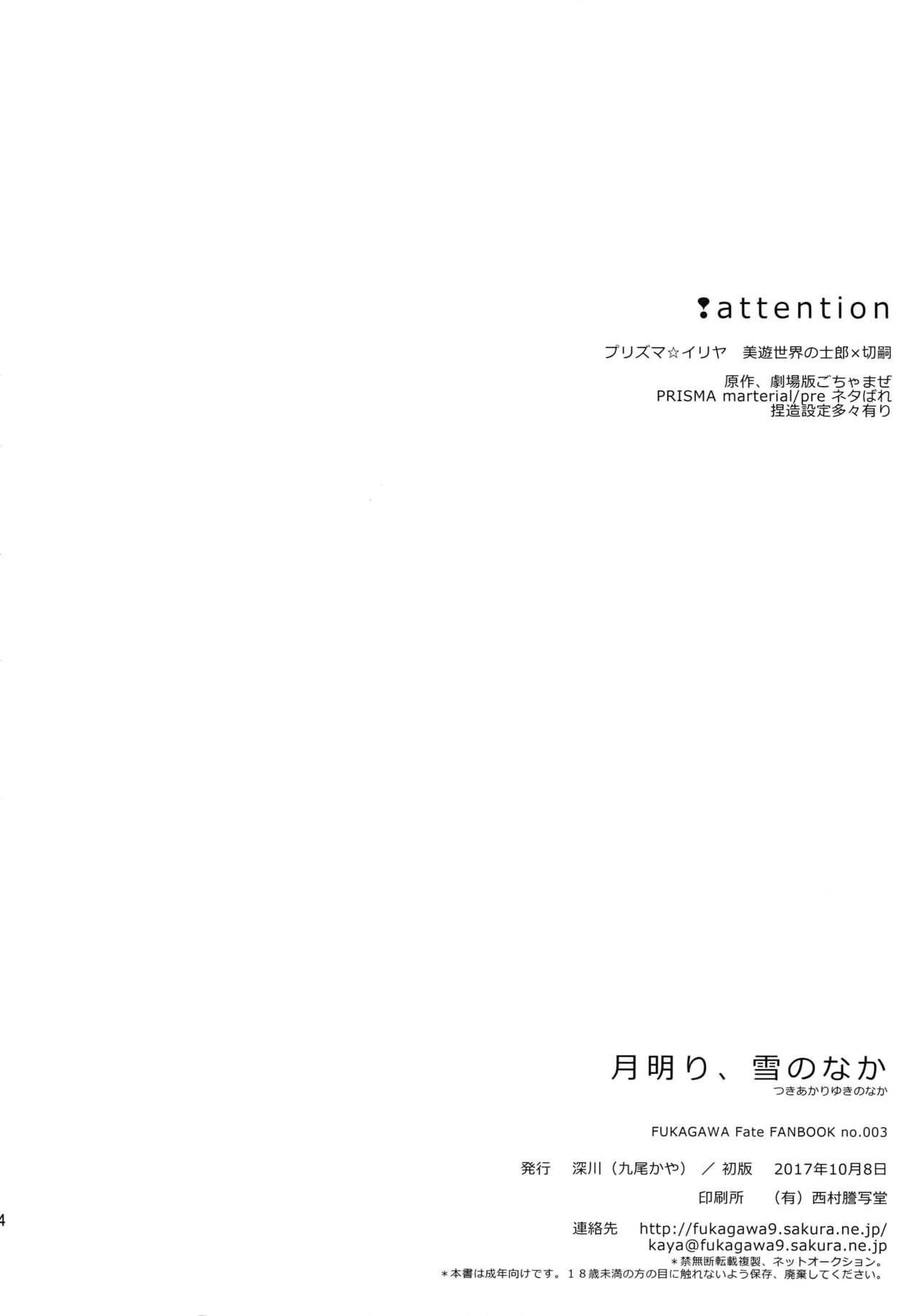 (SPARK12) [深川 (九尾かや)] 月明り、雪のなか (Fate/kaleid liner プリズマ☆イリヤ)