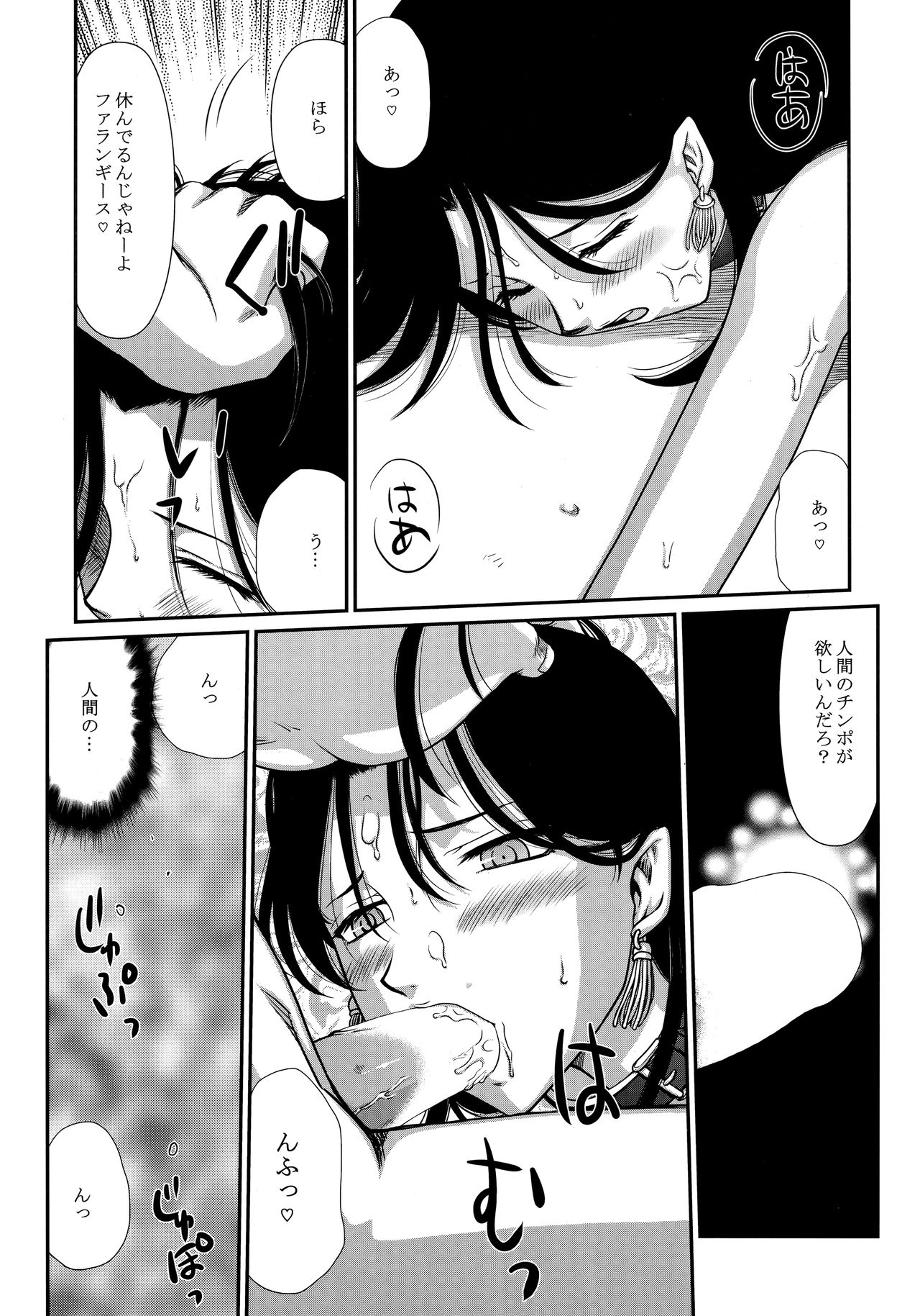 (C92) [LTM. (たいらはじめ)] 天姿国色 参 (アルスラーン戦記)