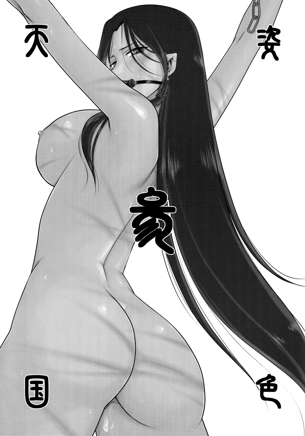 (C92) [LTM. (たいらはじめ)] 天姿国色 参 (アルスラーン戦記)