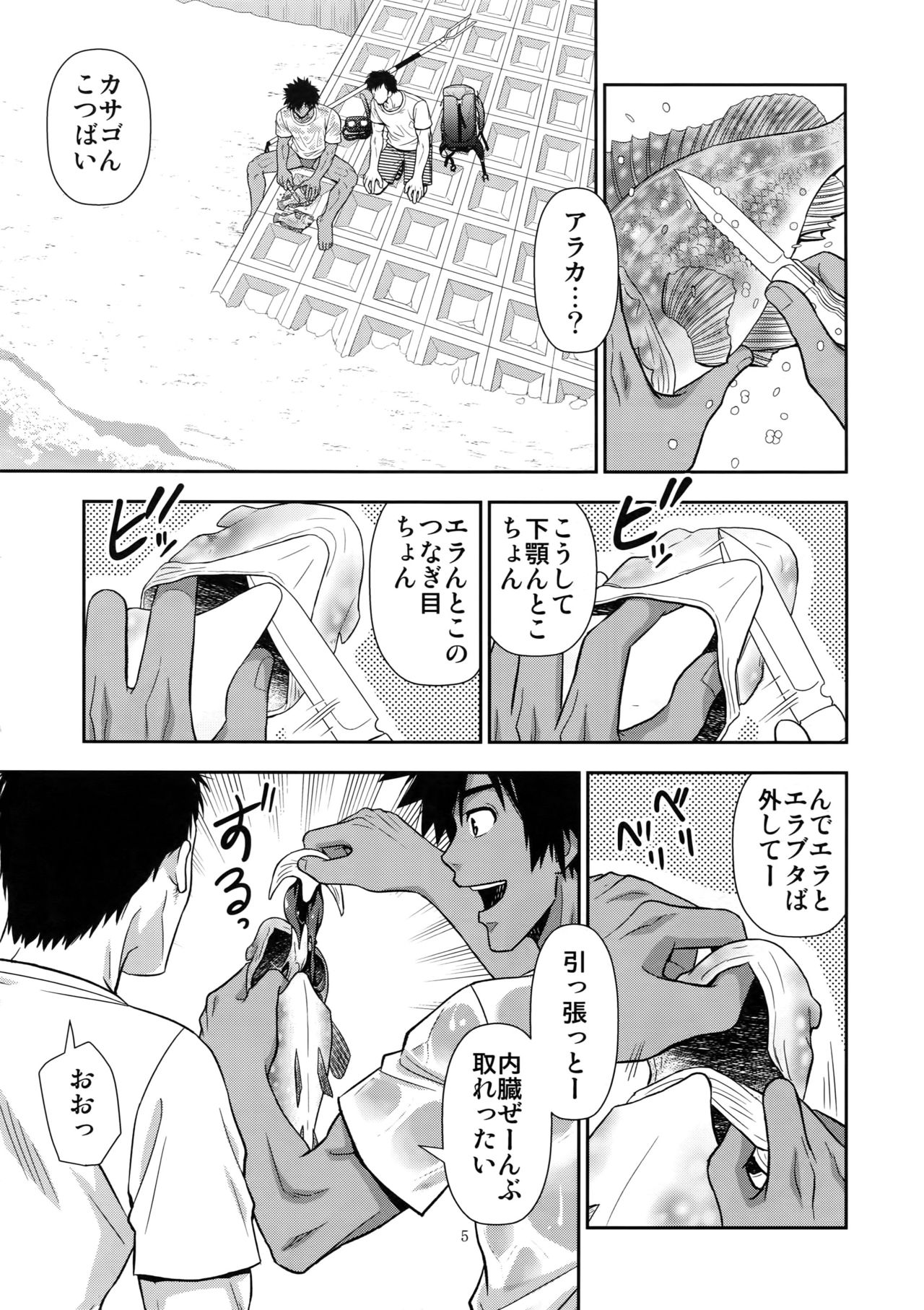 (C92) [褐色矮星 (YANAGI)] 海辺の旅に期待する。