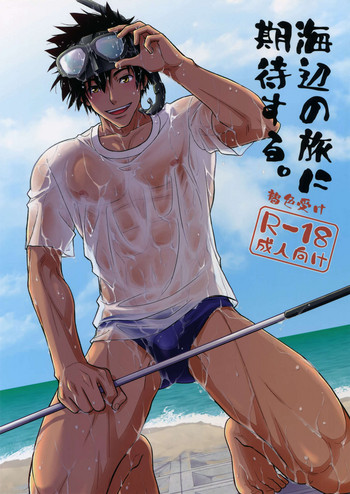 (C92) [褐色矮星 (YANAGI)] 海辺の旅に期待する。