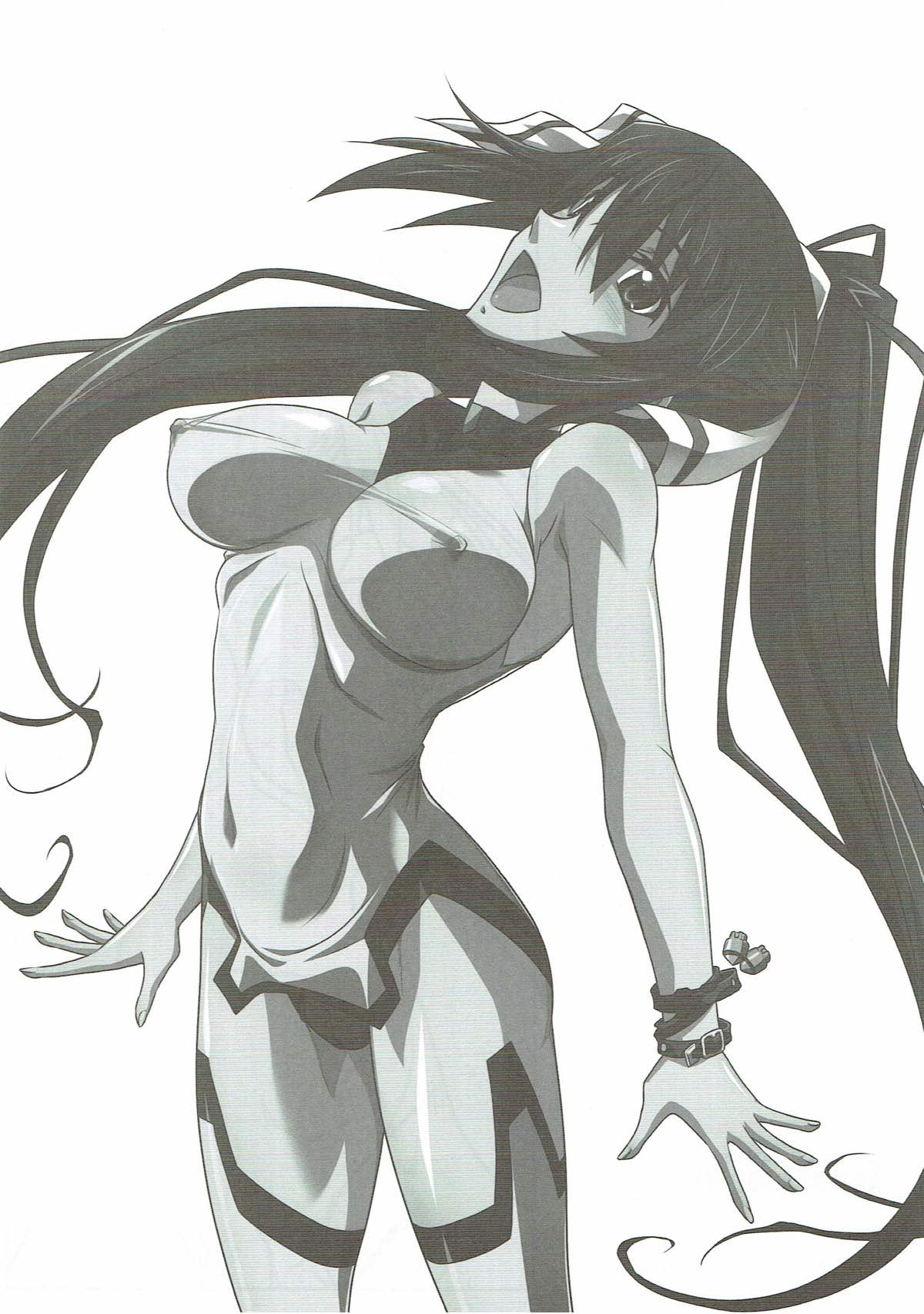 (とら祭り2015) [STUDIO TRIUMPH (むとうけいじ)] アストラルバウトSP02 (IS＜インフィニット・ストラトス＞)