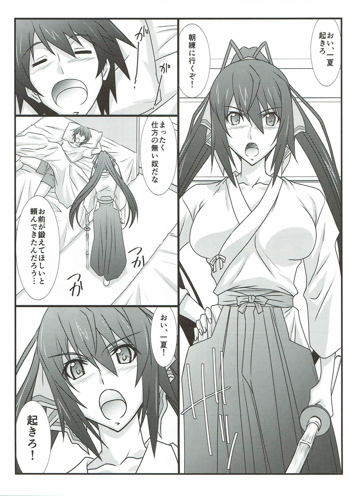 (とら祭り2015) [STUDIO TRIUMPH (むとうけいじ)] アストラルバウトSP02 (IS＜インフィニット・ストラトス＞)