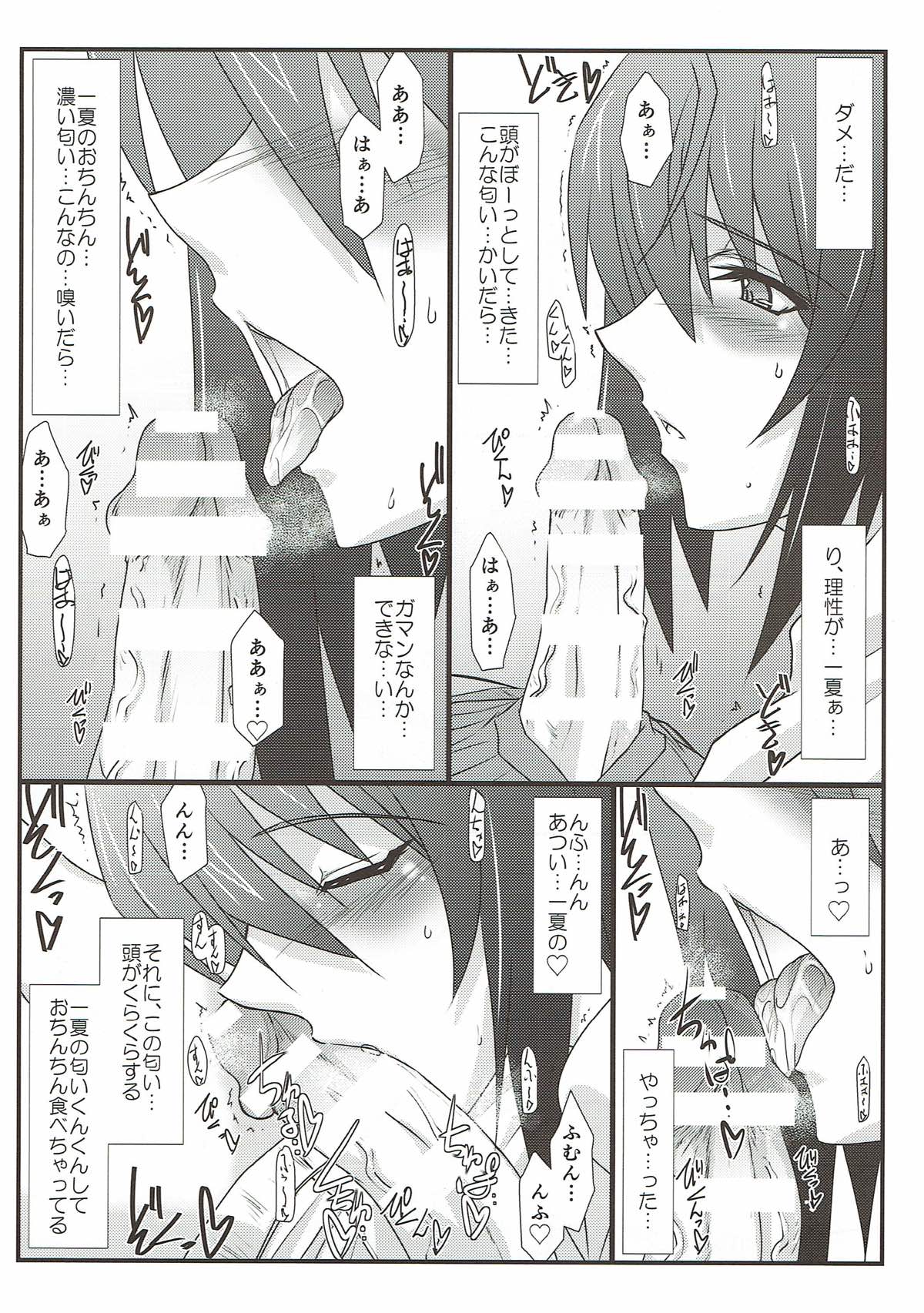 (とら祭り2015) [STUDIO TRIUMPH (むとうけいじ)] アストラルバウトSP02 (IS＜インフィニット・ストラトス＞)