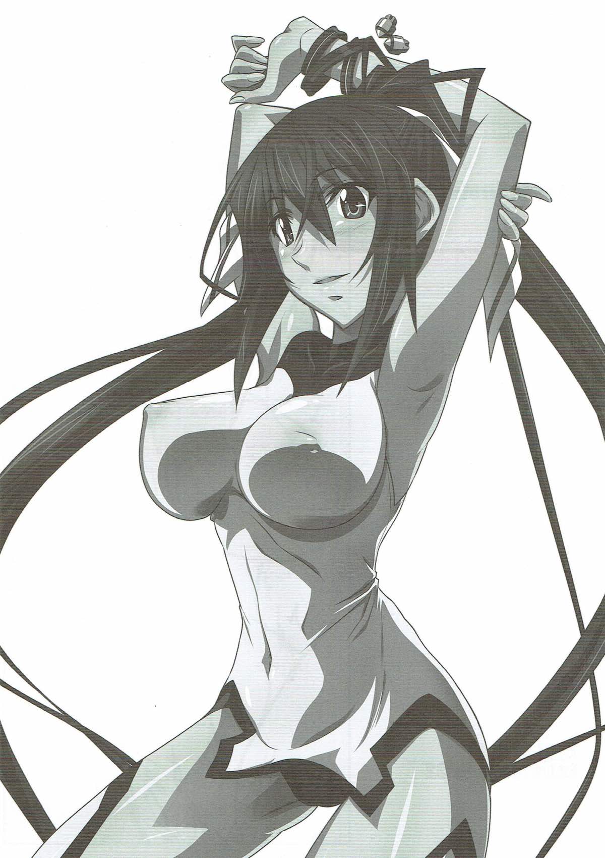 (とら祭り2015) [STUDIO TRIUMPH (むとうけいじ)] アストラルバウトSP02 (IS＜インフィニット・ストラトス＞)